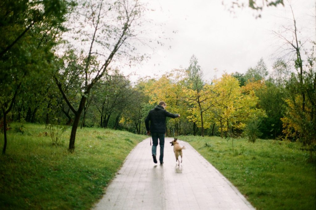 Mann neben Hund läuft auf einem von Bäumen umgebenen Weg